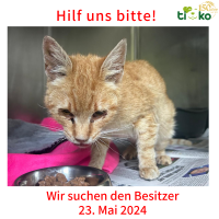thumb_Fundtiere FB(7)